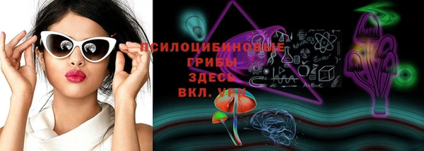 гашик Белоозёрский