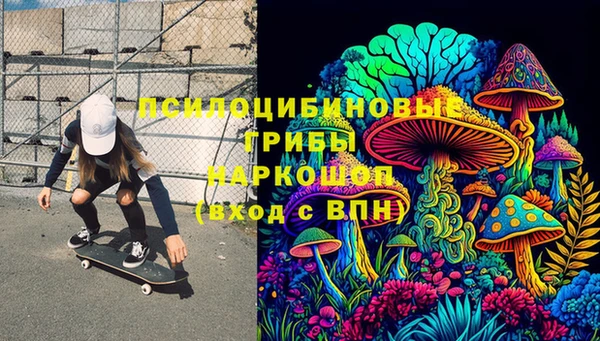 гашик Белоозёрский