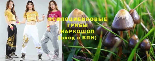 гашик Белоозёрский