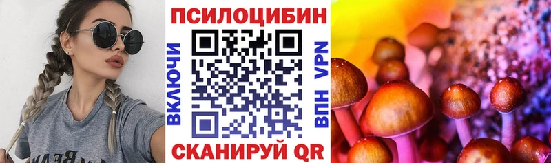 Псилоцибиновые грибы Cubensis  Высоковск 